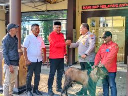 Perkuat Sinergisitas, PAC PDI Perjuangan Bulak Beri Sedekah Hewan Ternak ke TNI-Polri