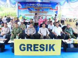 Polres Gresik Sukses Panen Raya Jagung 80 Ton, Salurkan Bantuan untuk Petani