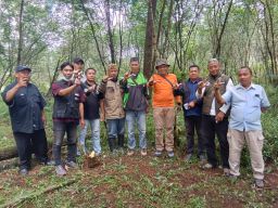 Paguyuban Siliwangi Majakuning Konsisten Tebar Pohon Endemik dan Lakukan Sekat Bakar