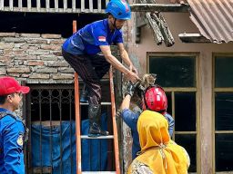 Damkar Pemalang Selamatkan Anak Kucing yang Terjebak Dua Hari di Atap Bangunan