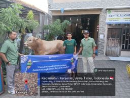 Iduladha 1447 H, PAM Surya Sembada Tebar Kepedulian Lewat 13 Sapi Kurban ‎