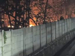 Dampak Kemarau Panjang, Ratusan Hektar Lahan Kering di Pemalang Terbakar