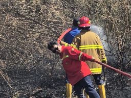 Cuaca Panas Ekstrem Mengancam, Damkar Pemalang Siaga Hadapi Ancaman Kebakaran Lahan