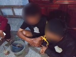 Diduga Produksi Sinte Rumah di Petarukan Pemalang Digeledah Polisi Dua Orang Diamankan