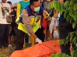 Jenazah Pria Ditemukan di Kebun Pinggir Tol KM 306 Desa Sewaka