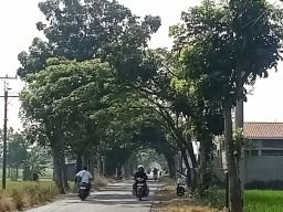 Jalan Ternate Jadi Jalur Alternatif Favorit Warga di Tengah Cuaca Ekstrem