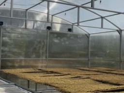 Petani Tembakau Bantarujeg Dapat Solar Dryer Dome dari DBHCHT
