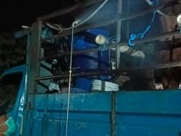Empat Kuda Asal Kediri Diperiksa Karantina Jatim Sebelum Dikirim ke Palangkaraya
