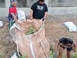 Warga RW 02 Kalibaru Sastra-Pitung Gelar Kerja Bakti, Fokus Normalisasi Kali Statomer