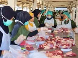 Antisipasi Daging Gelonggongan Masuk Surabaya, Pengamat Dorong Perketat Pengawasan