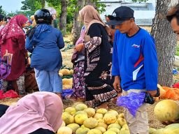 Cuma Gelar Lapak di Pinggir Sawah, Pedagang Melon dan Semangka Raup Omzet Rp15 Juta Sehari