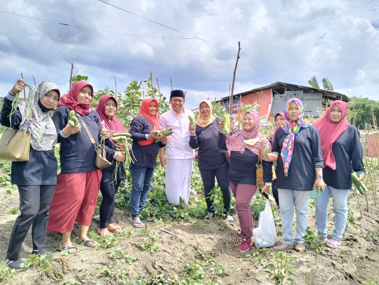 Wujudkan Ketahanan Pangan, Cak Ghoni Bersama Emak-Emak Panen Sayuran