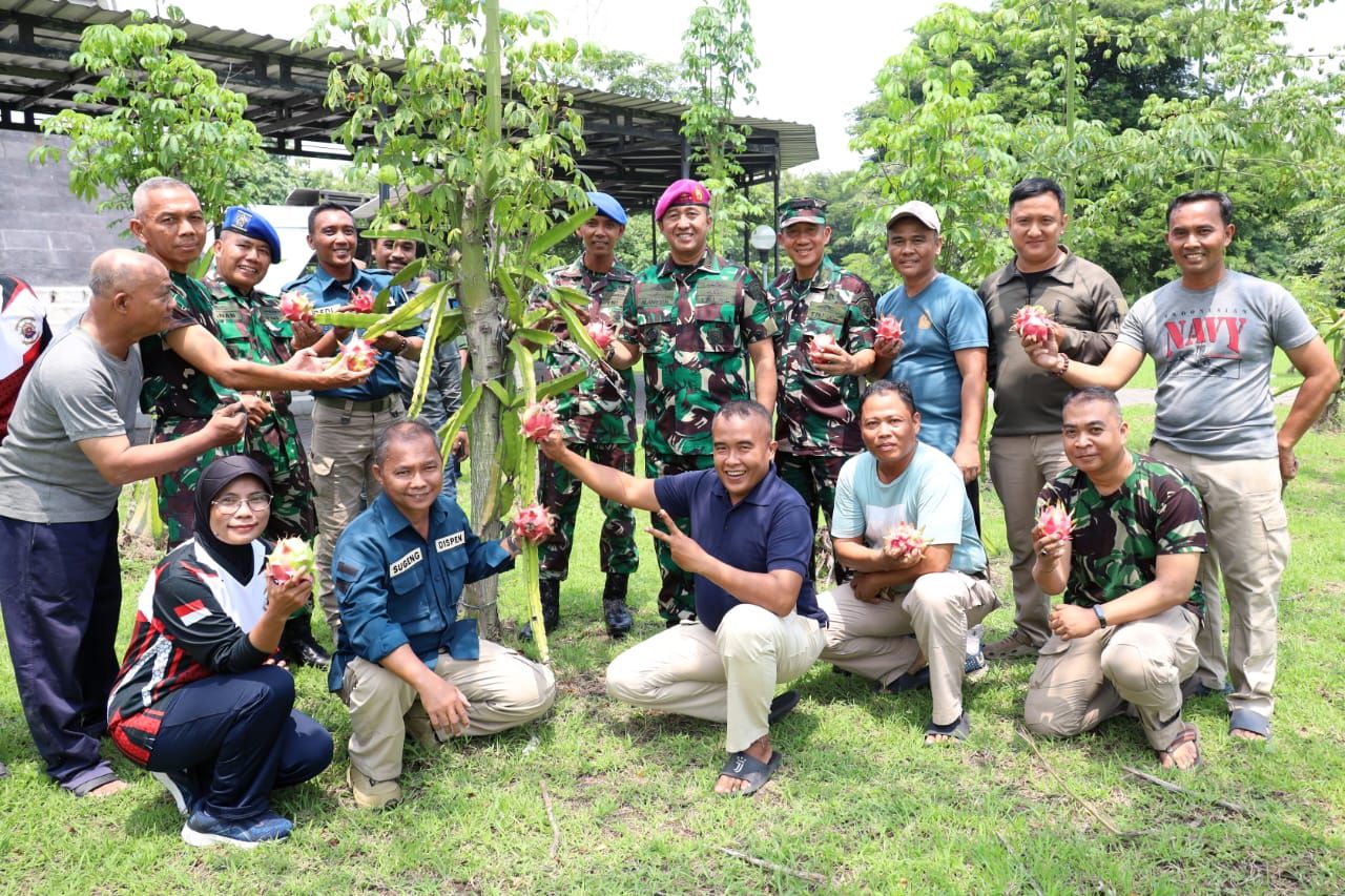 Manfaatkan Lahan Kosong, Dankodiklatal Panen Raya Buah Naga