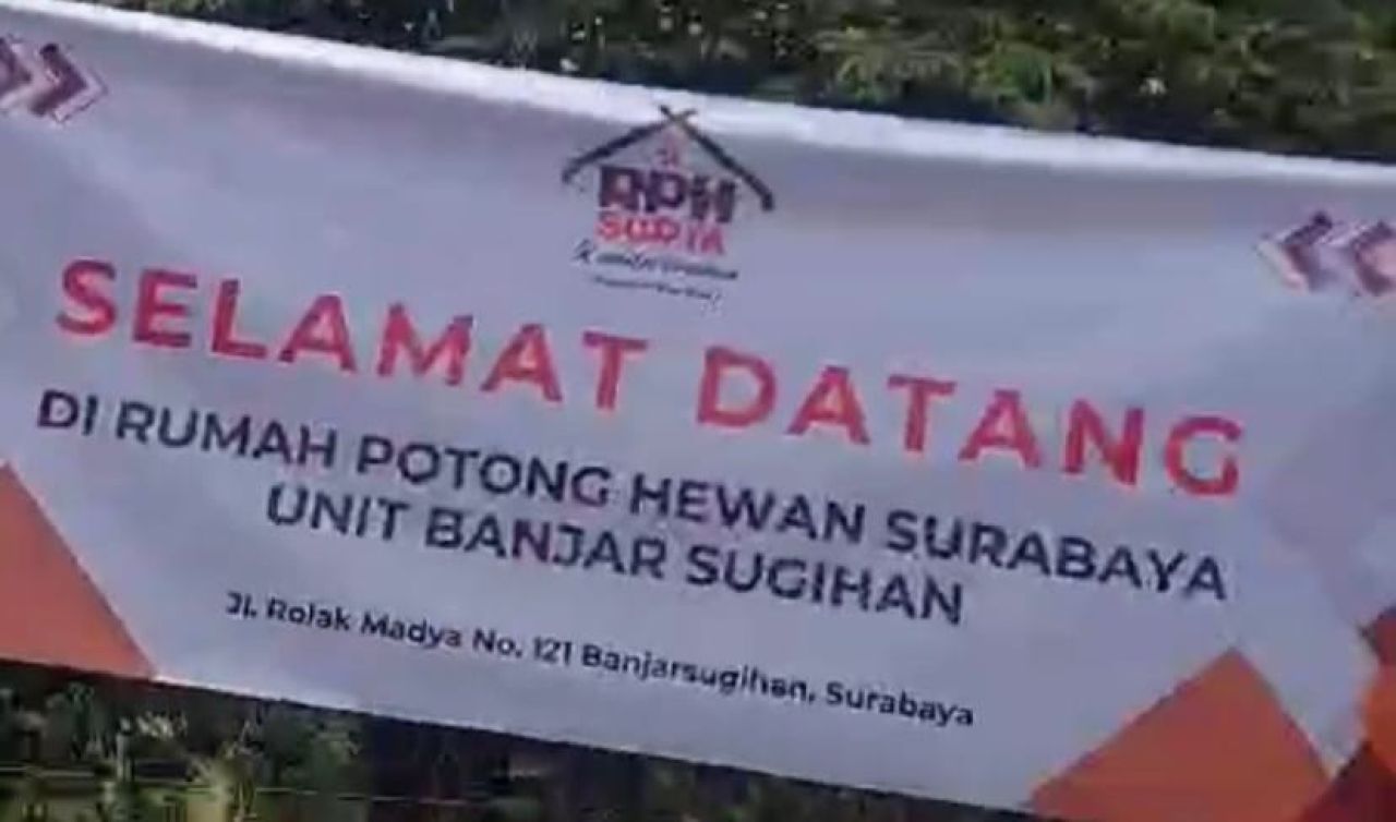 Rencana Relokasi RPH Pegirian ke Banjar Sugihan, Jagal Babi Angkat Suara