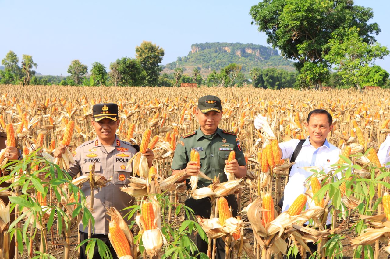 Satgas Pangan Polri Panen di Tuban