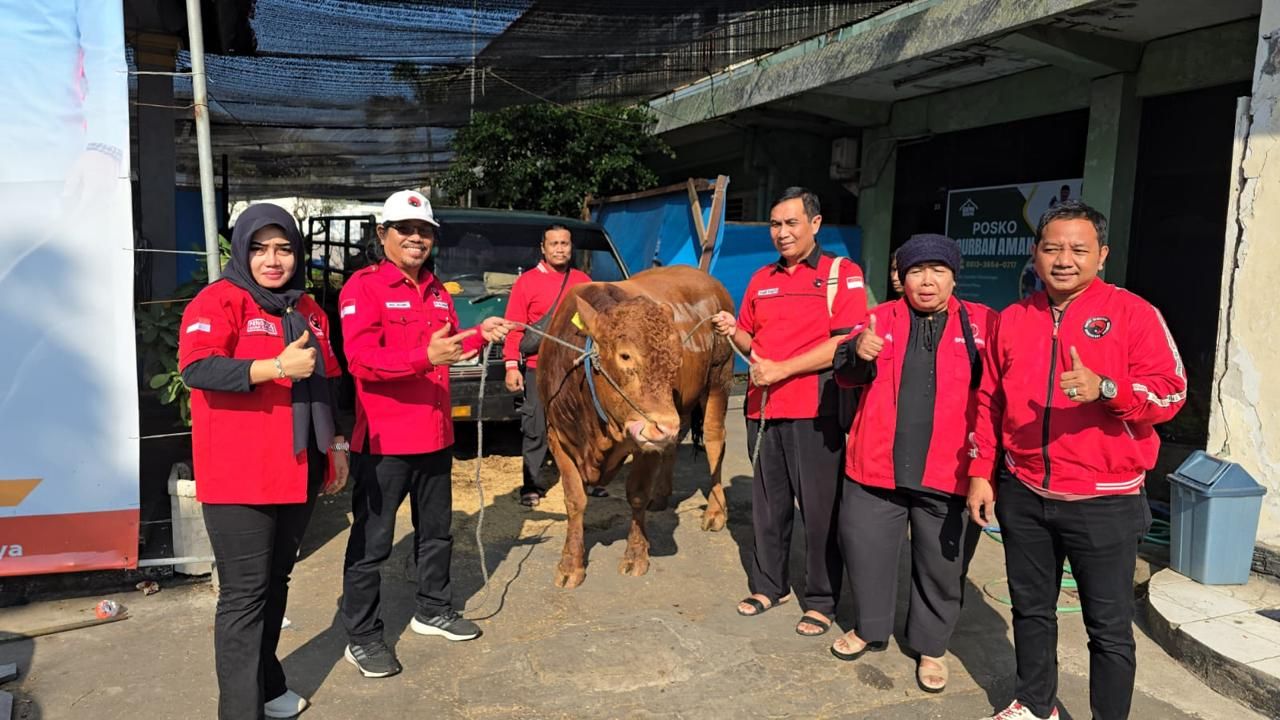 Tiga Pilar PDIP Surabaya Gotong Royong Potong 15 Sapi Kurban di RPH Pegirian