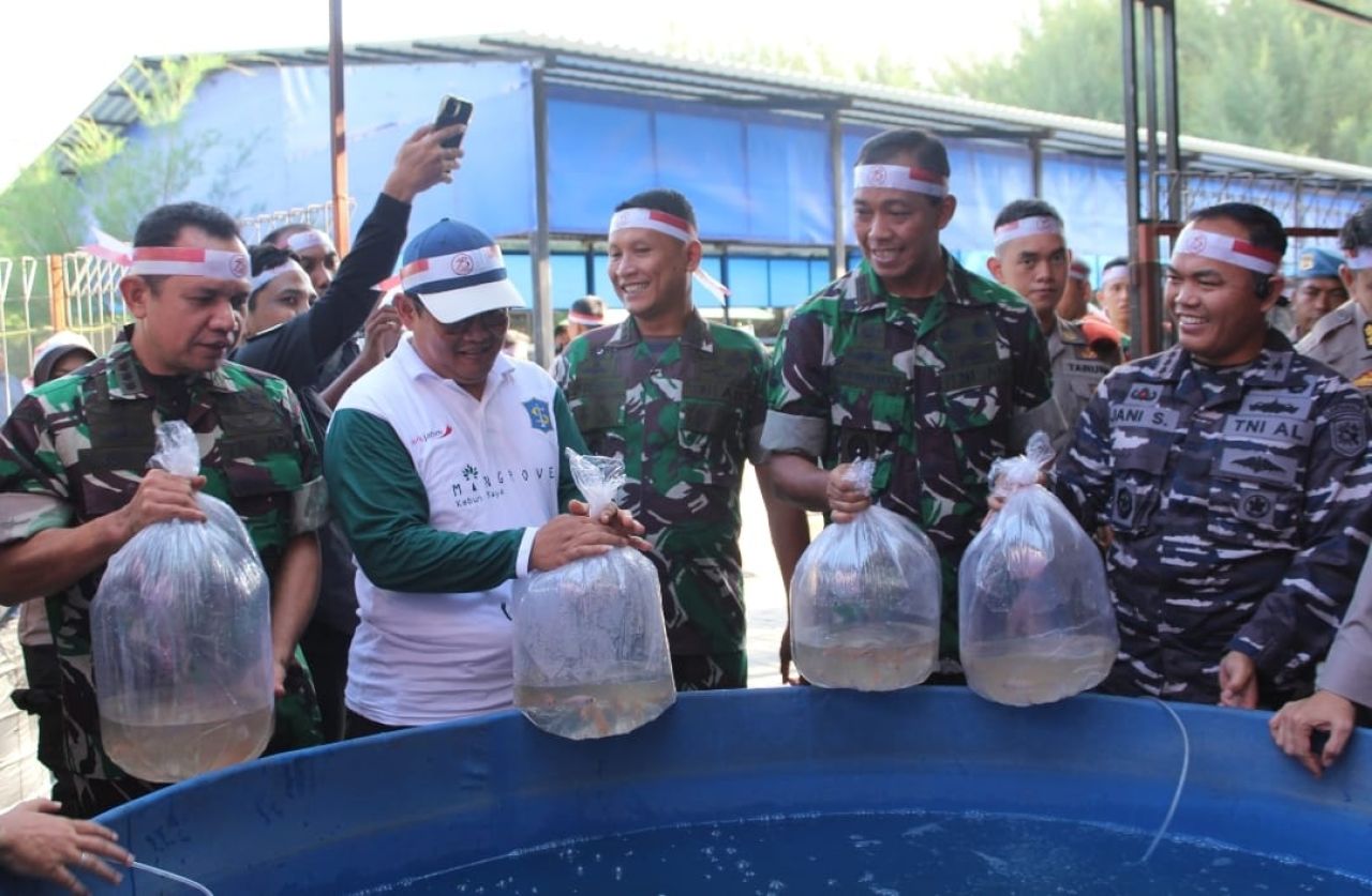 Penyebaran ikan lele di sela-sela penanaman pohon