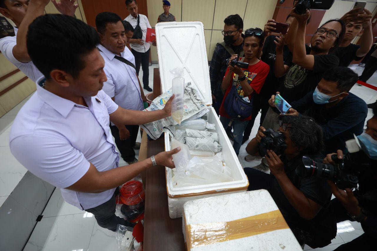 Polisi amankan benih lobster