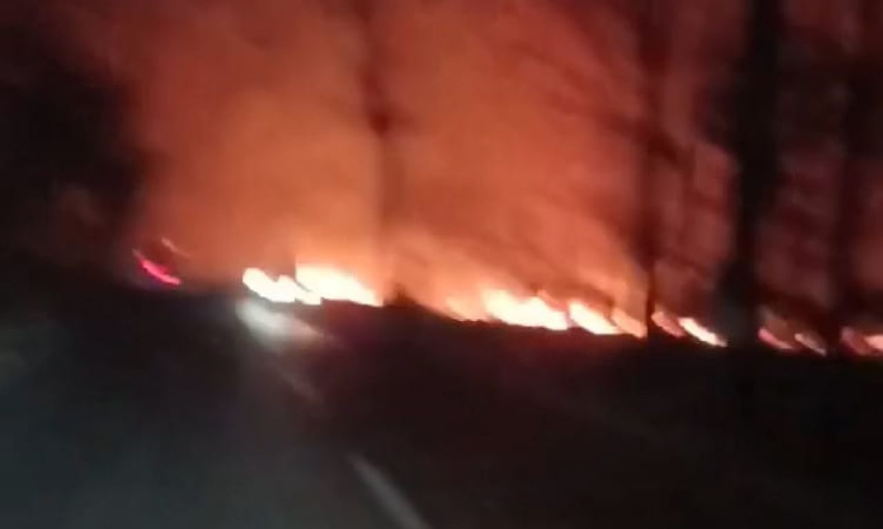Kawasan Hutan Perhutani di Wilayah Lenggerong Kecamatan Bantarbolang Terbakar Malam Ini