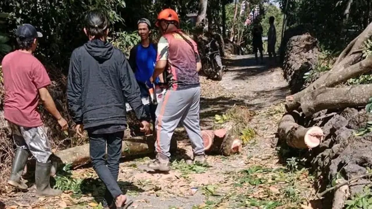 Beberapa Pohon Tumbang Disertai Atap Rumah Beterbangan Gegera Angin Kencang di Pemalang