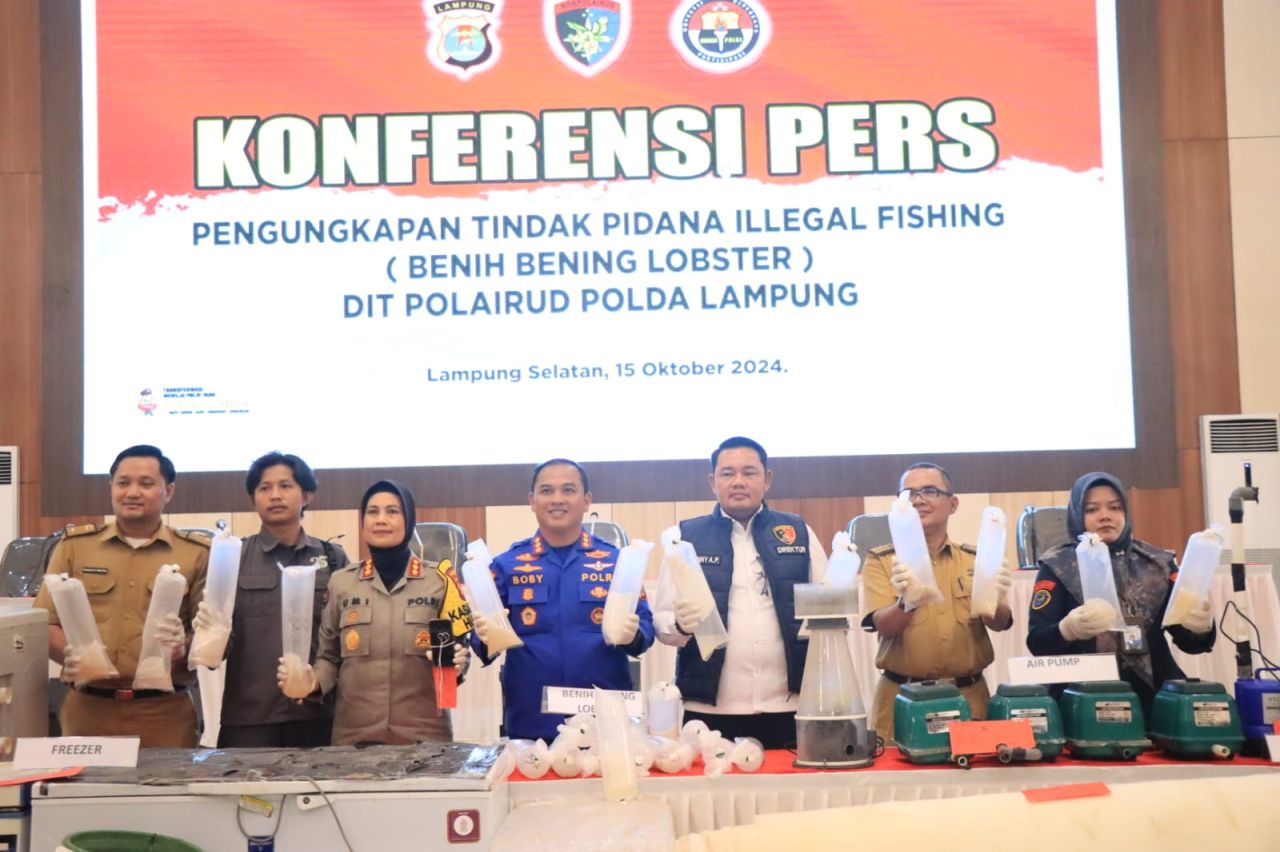 DKP Lampung Akan Tindak Tegas Perdagangan Ilegal Benih Lobster