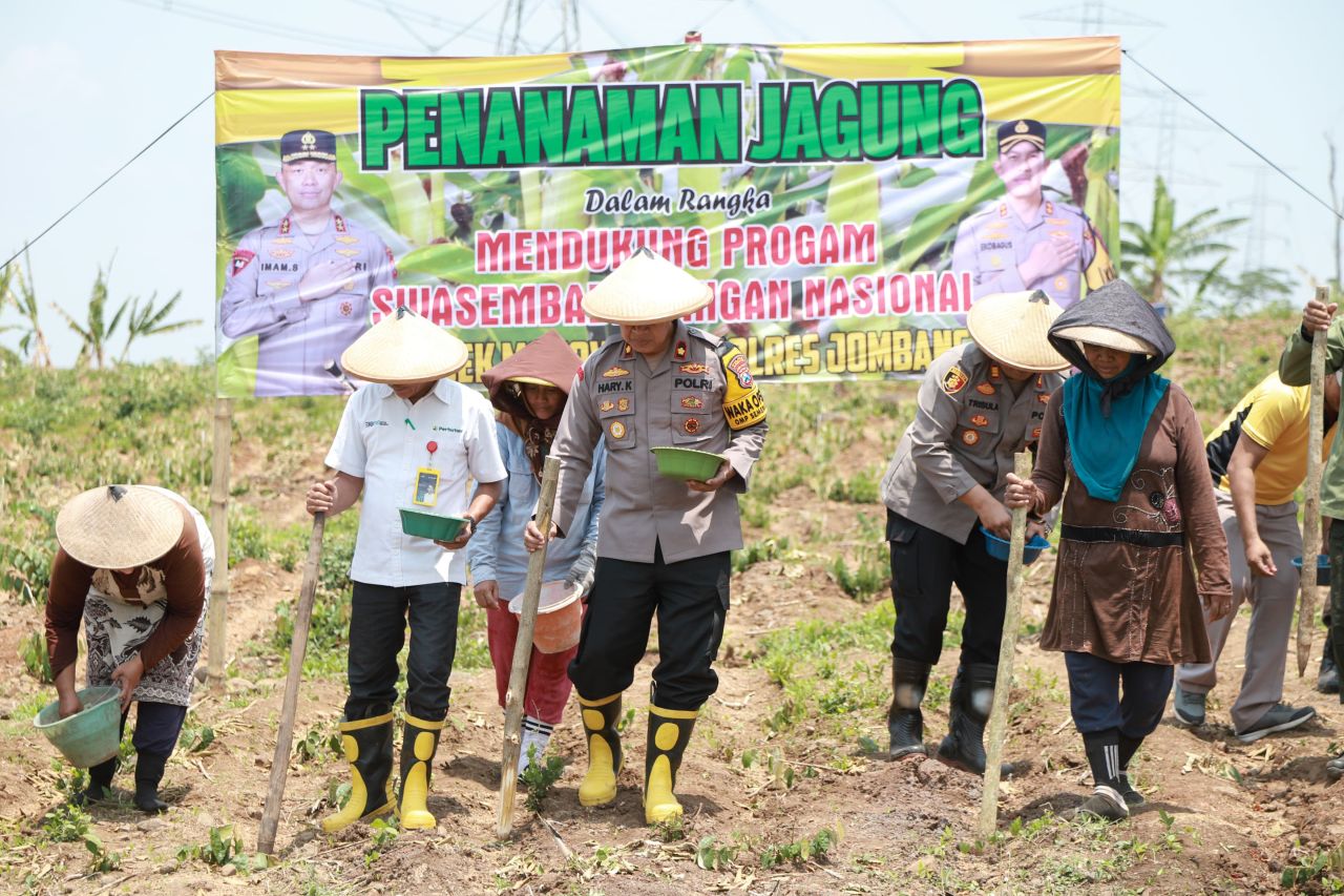 Swasembada Pangan, Tanam Jagung di Lahan Kosong
