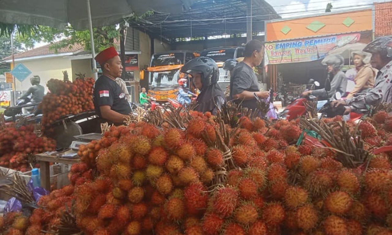 Pedagang rambutan di Pemalang cuan ratusan juta setiap harinya