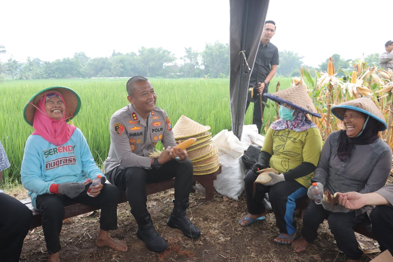 Petani Jagung Lega Hasil Panen Diserap Bulog Sesuai HPP