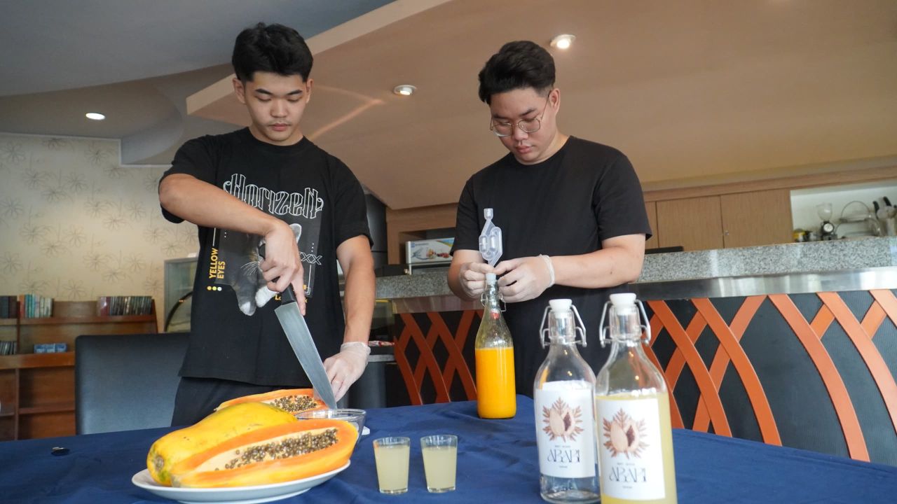 Cita Rasa Baru, Buah Pepaya Disulap Menjadi Wine Berkualitas