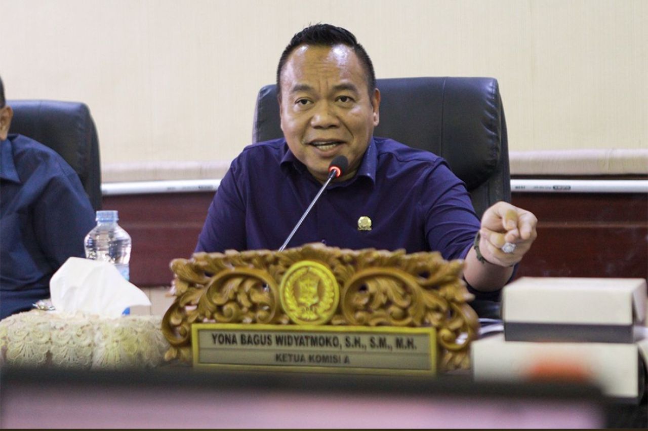 Yona Bagus Widiyatmoko