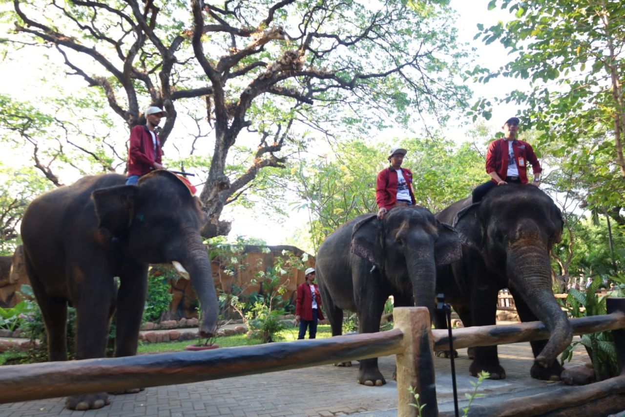 Disbudporapar Surabaya Perketat Pengawasan Wisata saat Libur Lebaran 2025