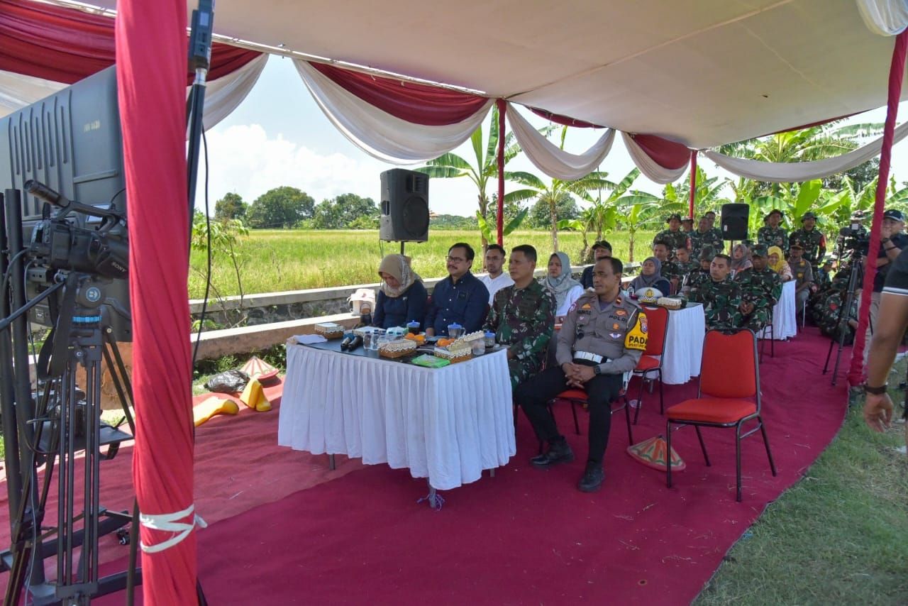 Surabaya Panen Raya Padi Nasional