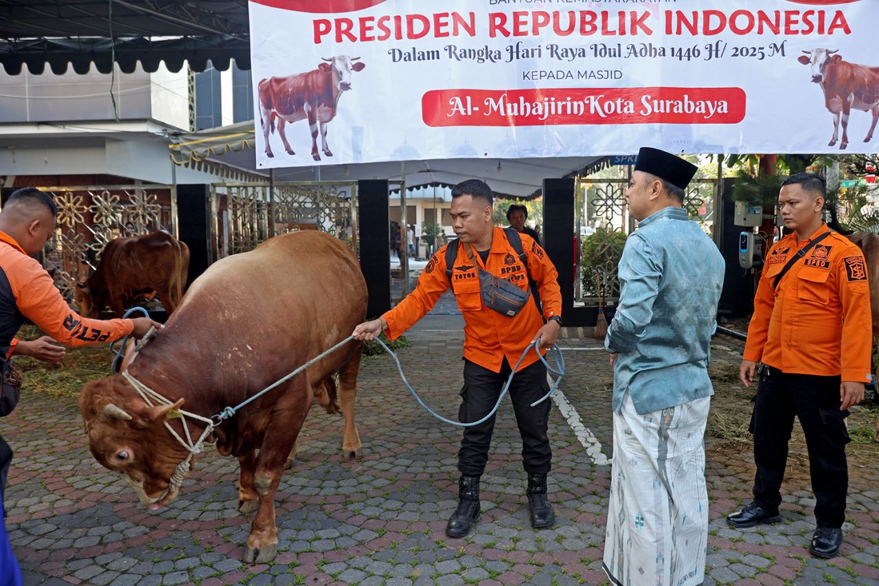 Wali Kota Eri Serahkan Sapi Kurban Bantuan Presiden di Masjid Al-Muhajirin