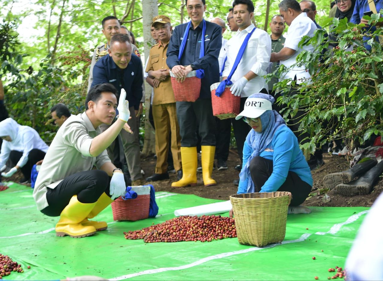 Gibran kunker di Bondowoso