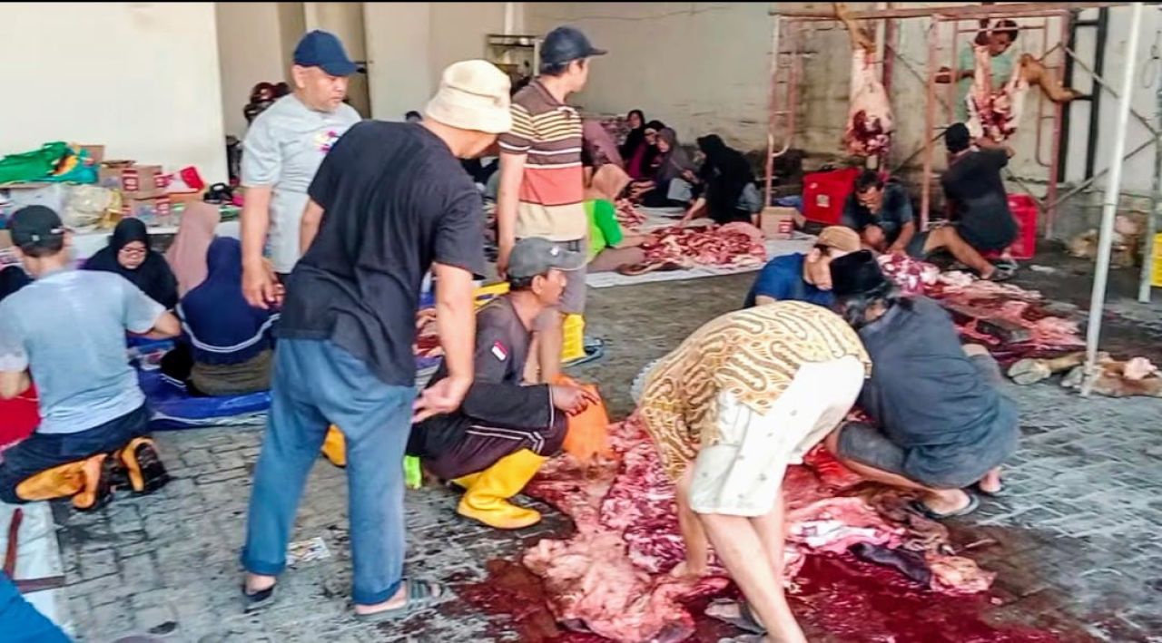 KOMPAK dan Tradisi Kurban Dari Berita ke Berkah