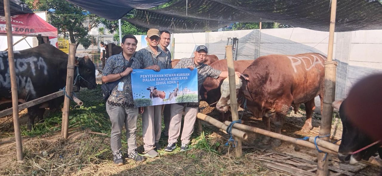 14 Sapi Kurban Perumda Surya Sembada untuk Warga Surabaya