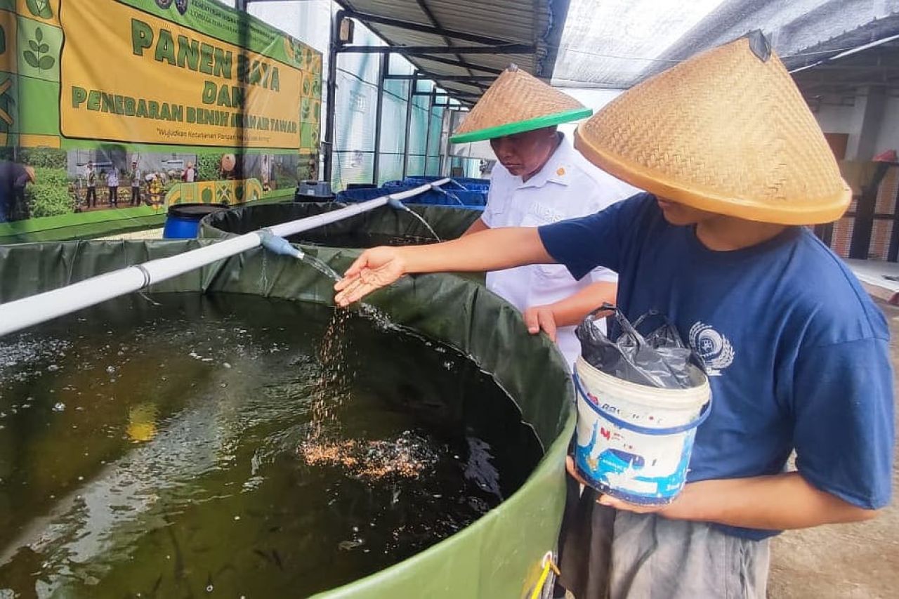 Lapas Cipinang Kembangkan Budidaya Ikan Nila