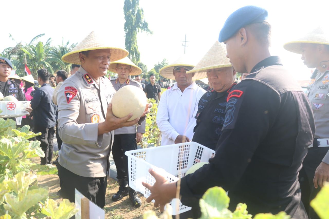 Brimob Polda Jatim Panen Melon dan Semangka