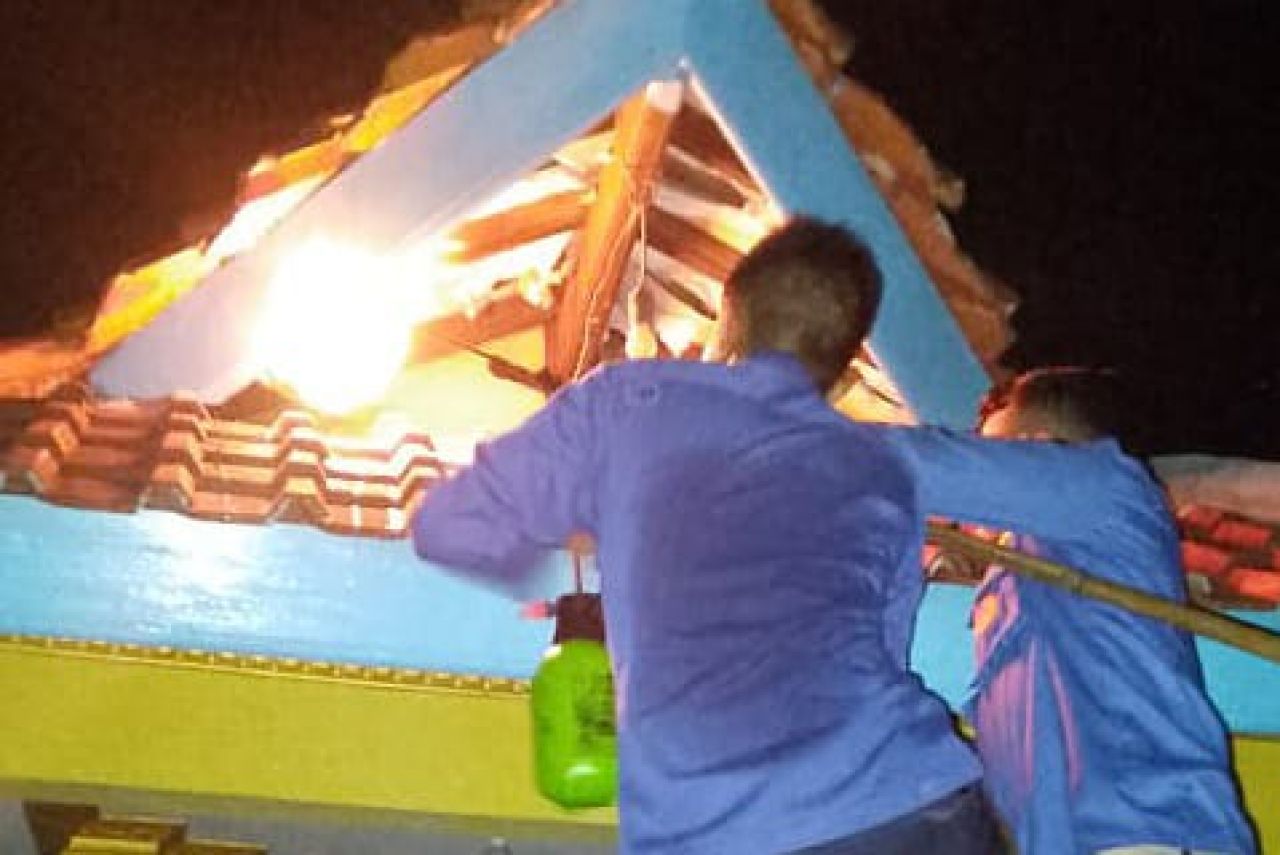 Petugas damkar saat evakuasi sarang tawon vespa di rumah warga