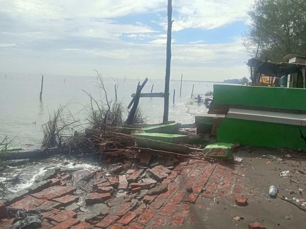 Ratusan Hektare Sawah Terendam Rob, Rizal Bawazier Desak Pemerintah Bangun Giant Sea Wall
