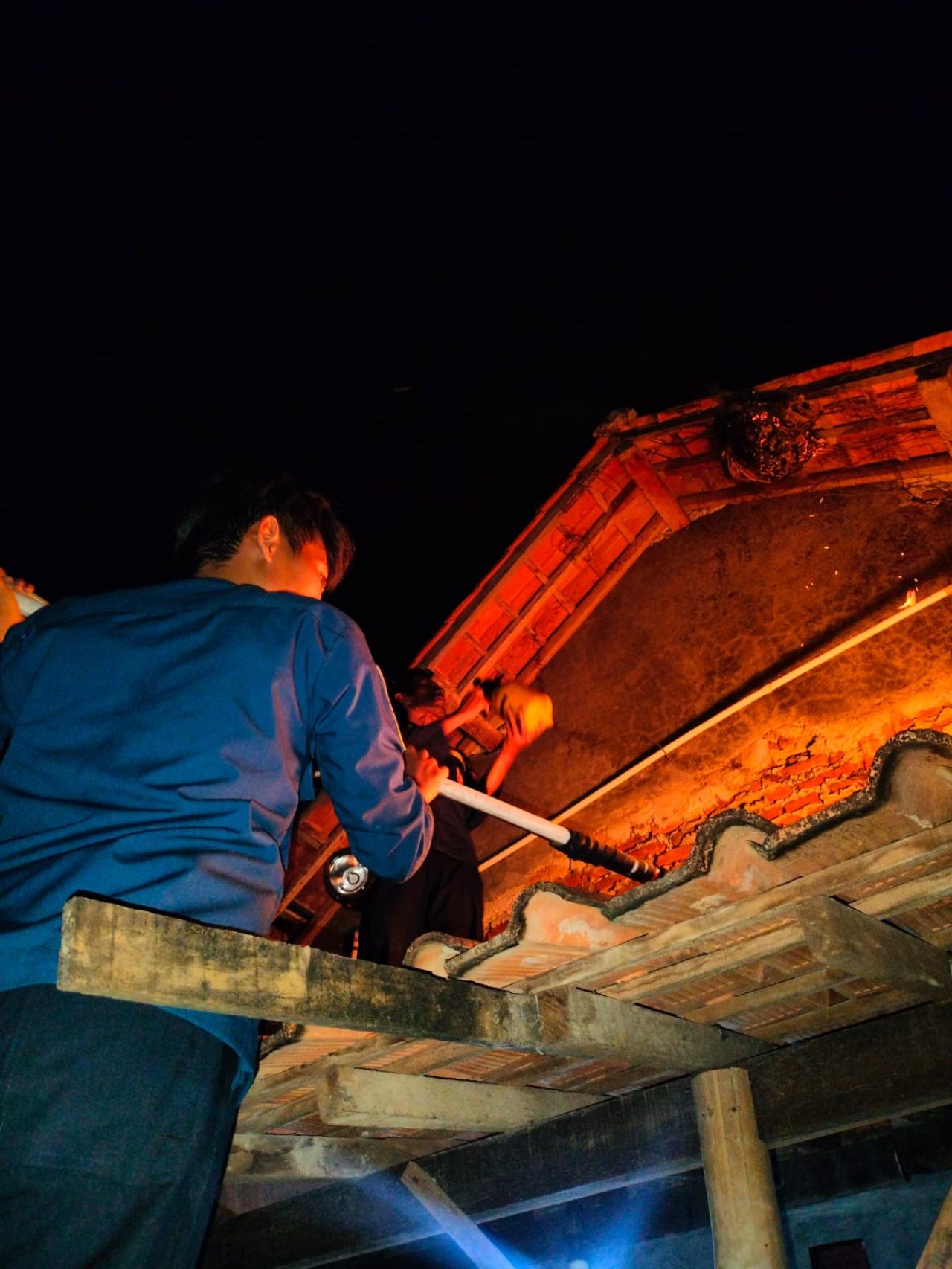 Pemusnahan sarang tawon besar Afinnis