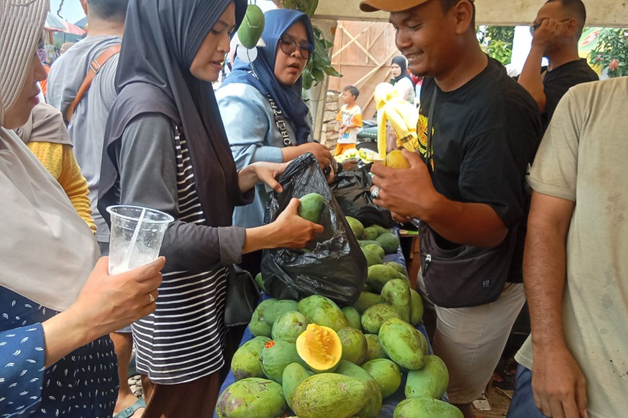 Festival Mangga Pemalang, Pedangan Raup Omzet Puluhan Juta