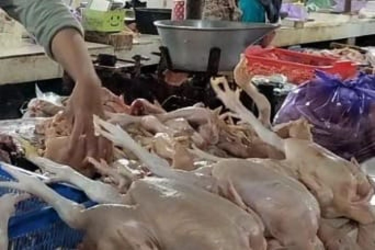 Memasuki Ramadan Harga Daging dan Telur Ayam di Pemalang Mengalami Kenaikan Harga