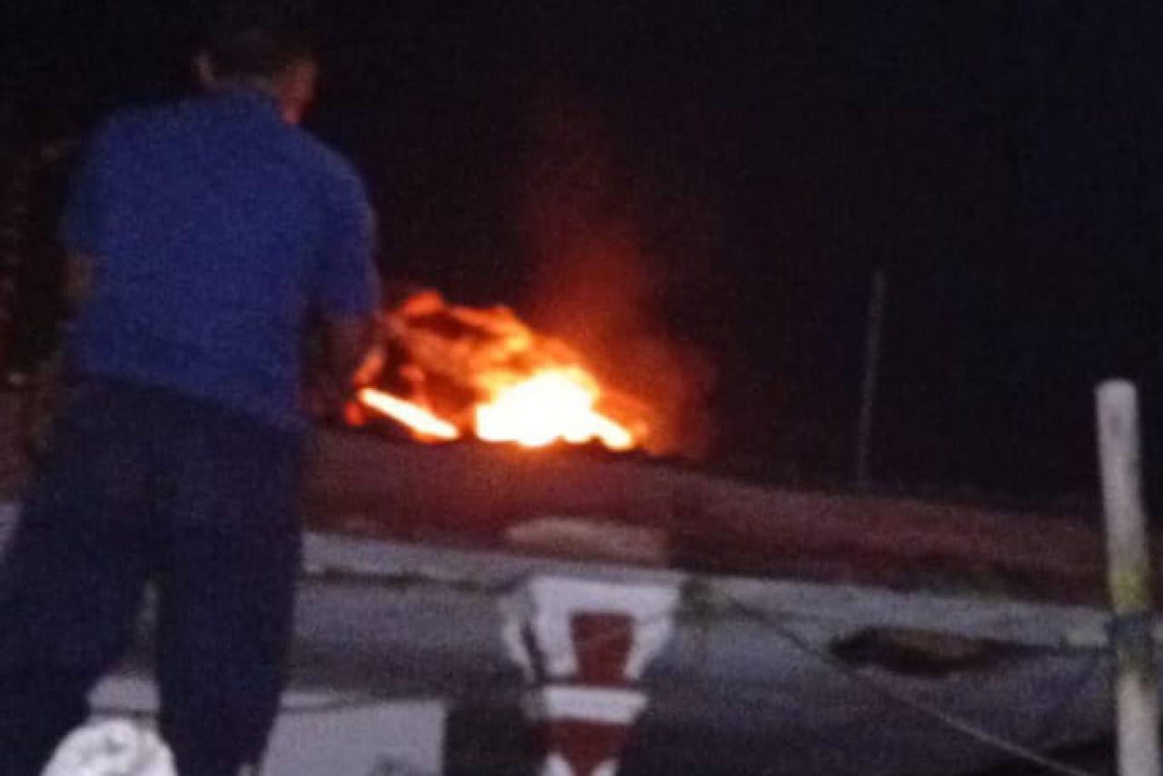 Pembakaran sarang tawon vespa