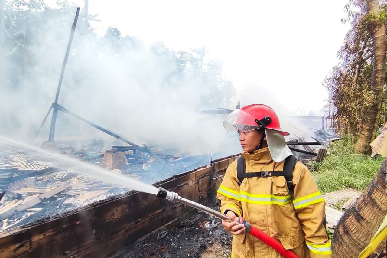 Belasan Ribu Ayam Hangus Akibat Kebakaran, Pemilik Merugi Miliaran Rupiah