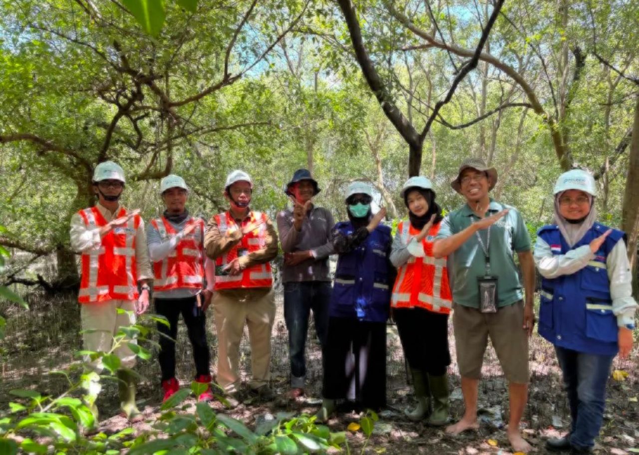 TPS lestarikan mangrove di Pelabuhan Tanjung Perak