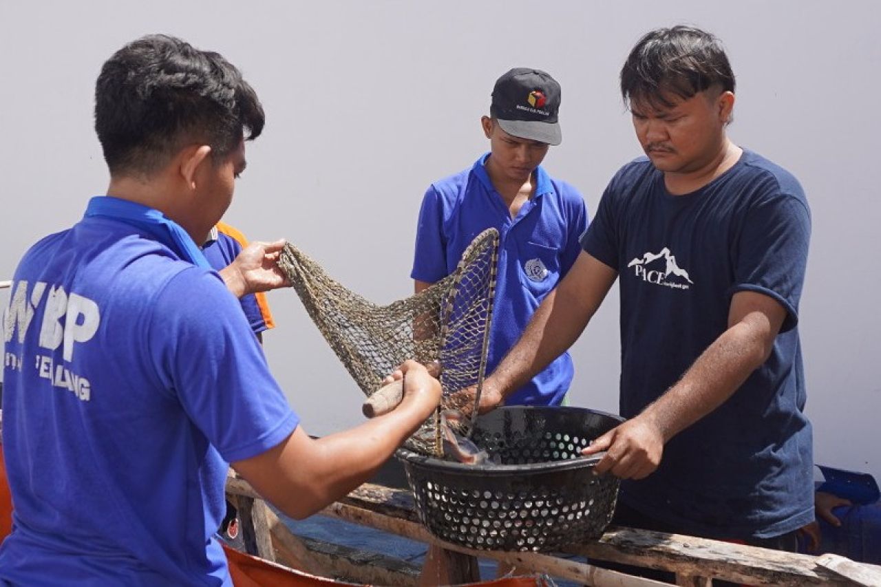 Panen 45 Kg Lele, Rutan Pemalang Perkuat Pembinaan Kemandirian WBP