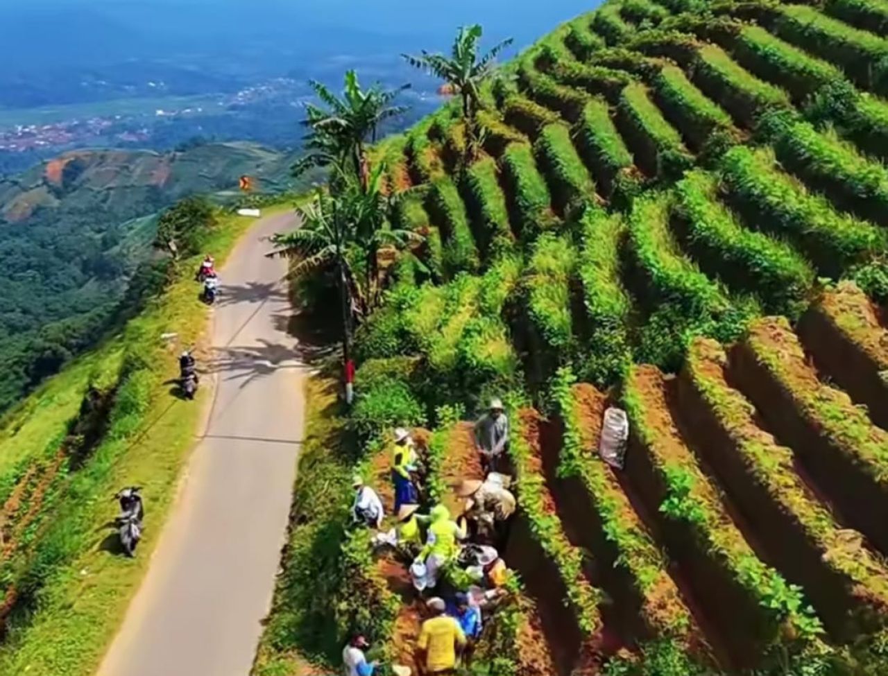 Di Balik Panorama Panyaweuyan, Ada 10 Hektare Ladang Bawang Merah