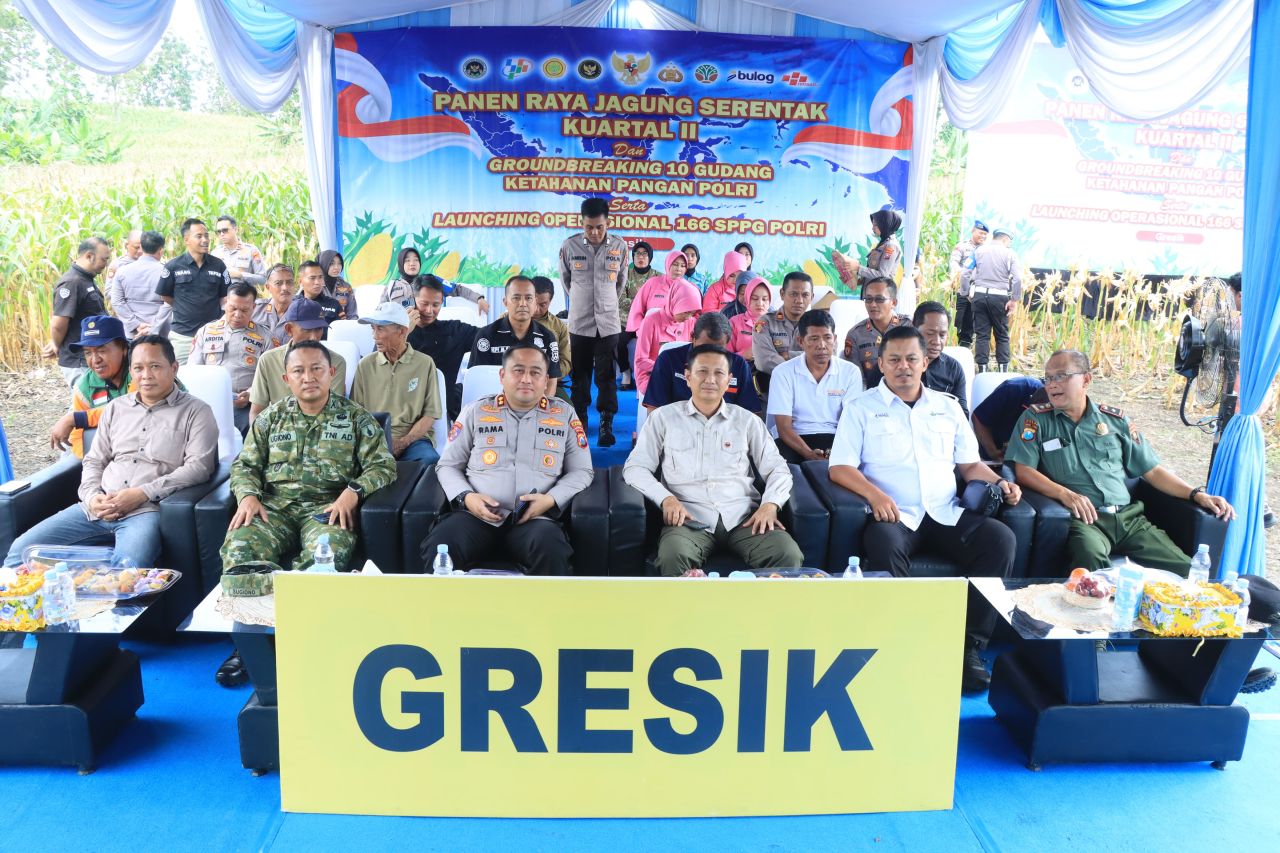Polres Gresik Sukses Panen Raya Jagung 80 Ton, Salurkan Bantuan untuk Petani