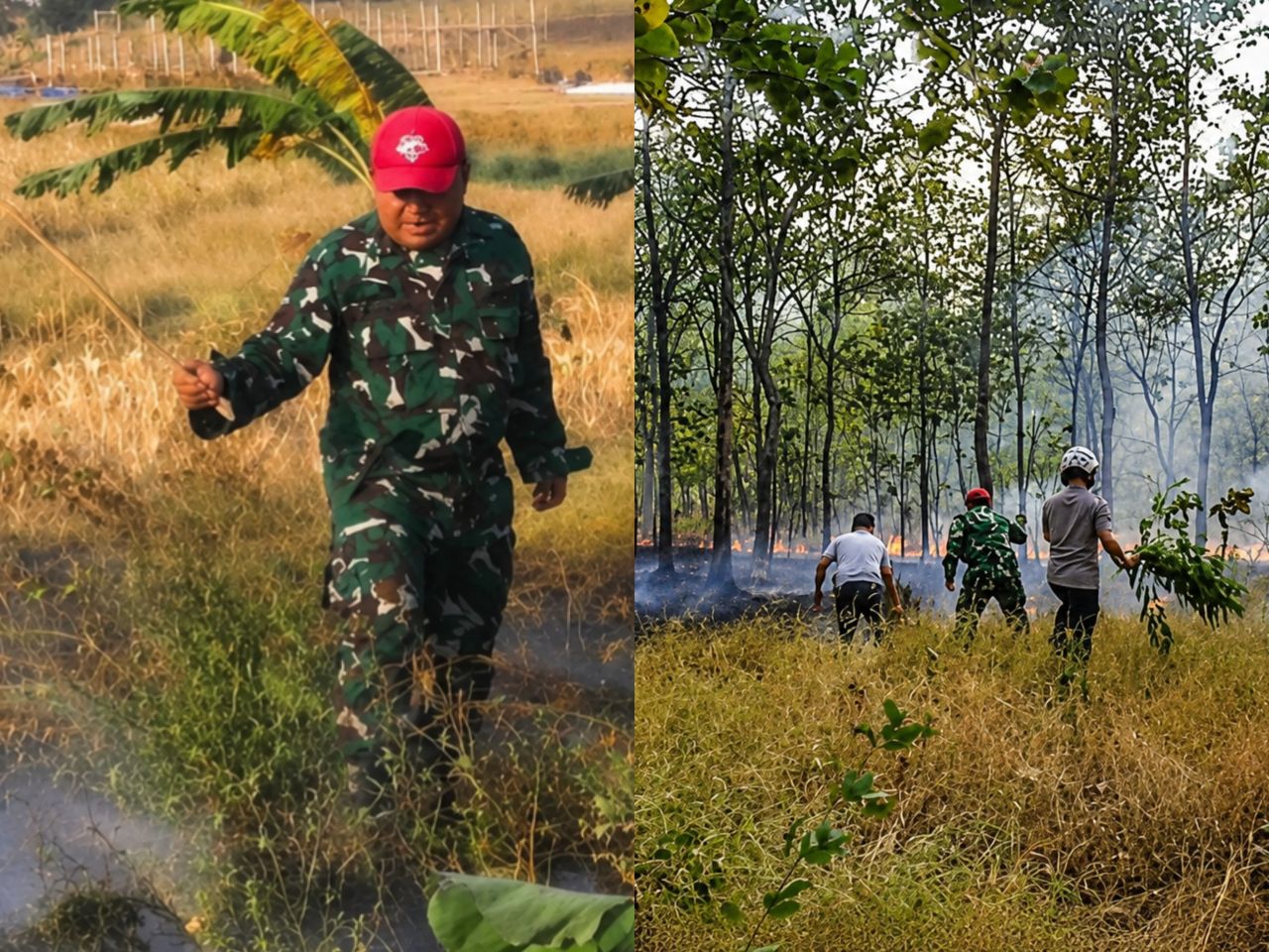 Kebakaran di Lahan Perhutani BKPH Ujungjaya
